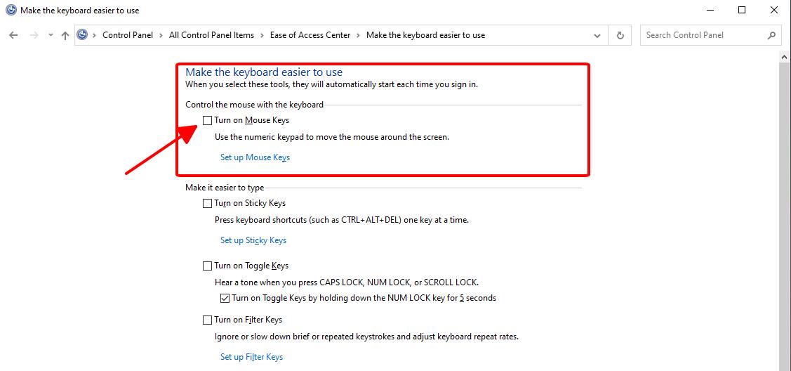 chọn mục Turn on Mouse Keys